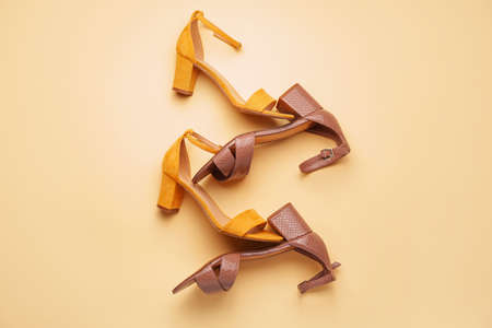 Stylish female shoes on color backgroundの写真素材