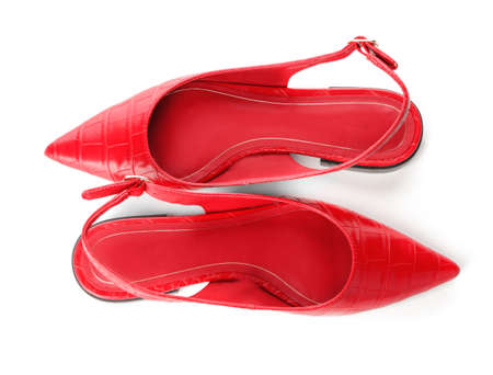 Stylish female shoes on white background