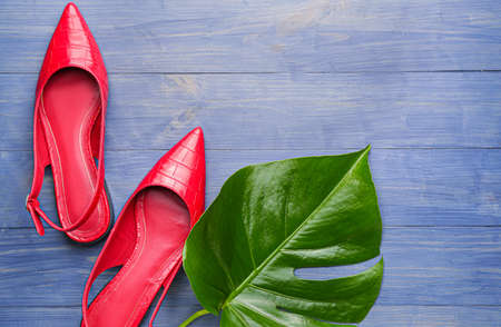 Stylish female shoes and tropical leaf on wooden background
