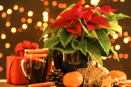 Christmas plant poinsettia with decor and mulled wine on dark backgroundの写真素材