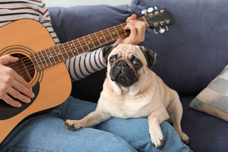 Handsome man with cute pug dog playing guitar at homeの写真素材