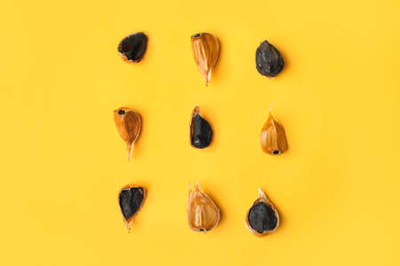 Black garlic on color background