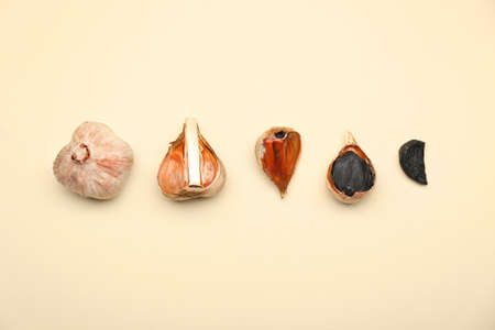 Black garlic on color backgroundの写真素材