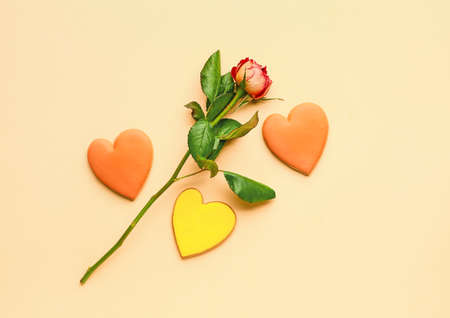 Rose flower with heart shaped cookies for Valentine's day on color background