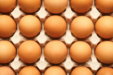 Fresh eggs in package, top view