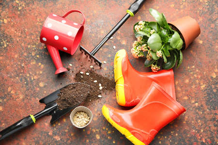 Set of gardening supplies on grunge backgroundの写真素材
