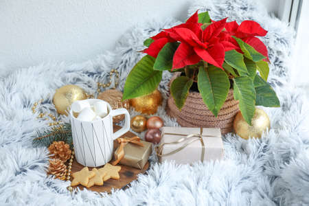 Christmas composition with cup of hot chocolate on plaidの写真素材