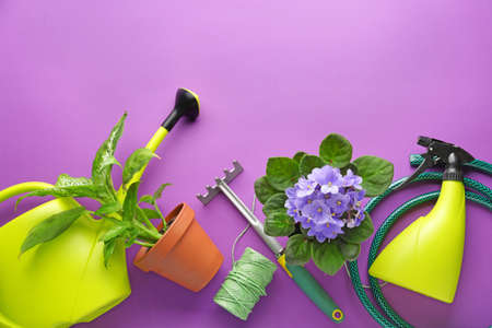 Set of gardening supplies on color backgroundの写真素材