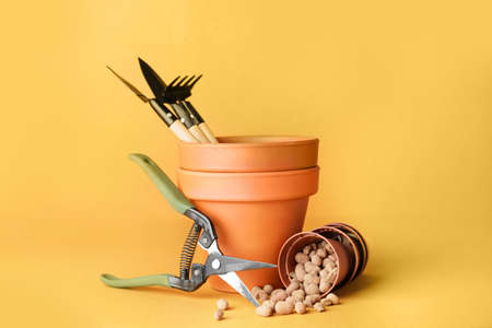 Set of gardening supplies on color background