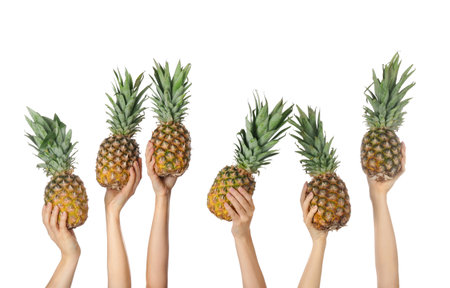 Hands with juicy pineapples on white backgroundの写真素材