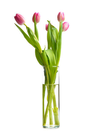 Vase with beautiful tulip flowers on white backgroundの写真素材