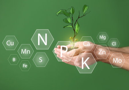 Male hands holding young plant and heap of soil with specified components on color backgroundの写真素材