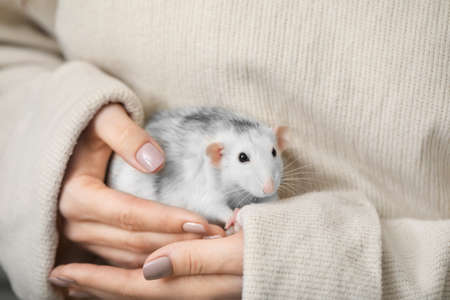 Young woman with cute rat, closeup