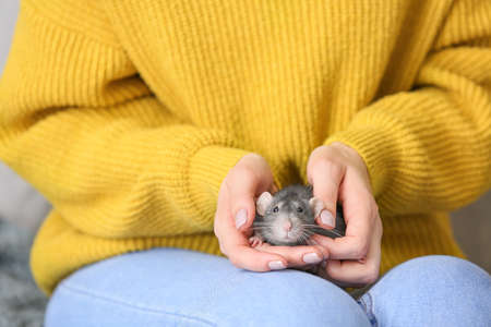 Young woman with cute rat, closeupの写真素材