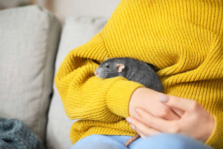 Young woman with cute rat at home, closeupの写真素材