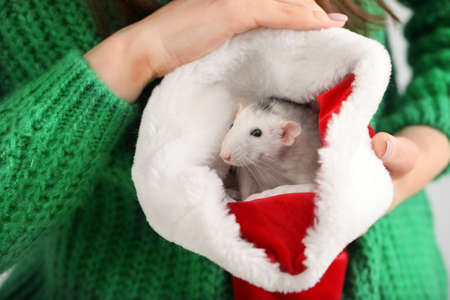 Young woman with cute rat in Santa Claus hat, closeupの写真素材