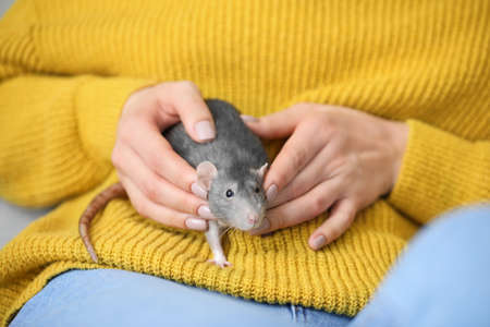 Young woman with cute rat, closeupの写真素材