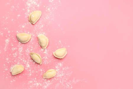 Raw dumplings on color backgroundの写真素材