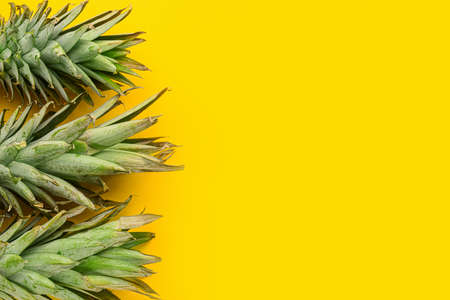 Fresh ripe pineapples on color background