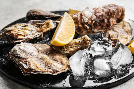 Board with tasty cold oystersの写真素材