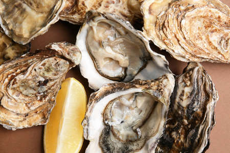Tasty oysters with lemon on color background, closeup