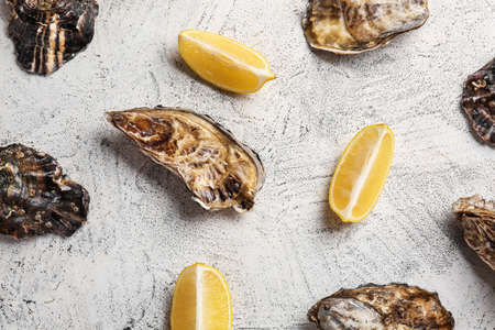 Tasty oysters with lemon on white backgroundの写真素材