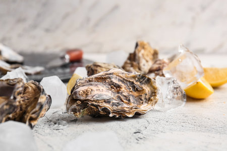 Tasty cold oysters on white backgroundの写真素材