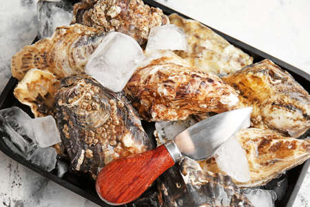 Tray with tasty cold oysters on white background