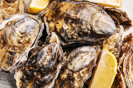 Tasty oysters with lemon, closeupの写真素材
