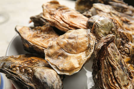 Plate with tasty oysters, closeupの写真素材