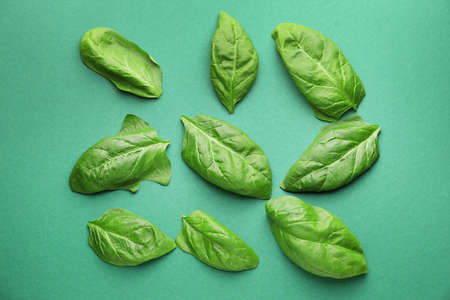 Fresh spinach on color backgroundの写真素材