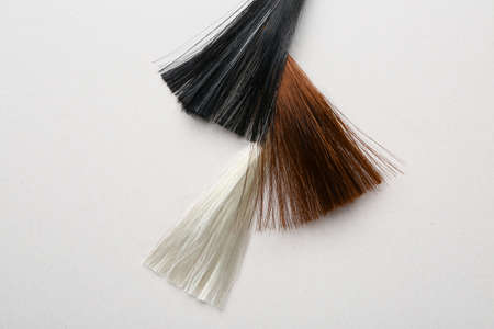 Different hair strands on light backgroundの写真素材