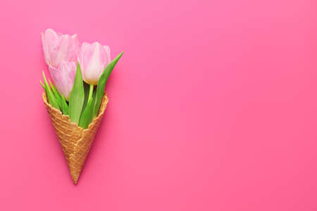 Waffle cone with flowers on pink backgroundの写真素材