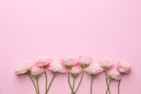 Beautiful flowers on pink backgroundの写真素材