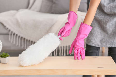 Young woman cleaning her flatの写真素材