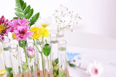 Test tubes with plants on tableの写真素材
