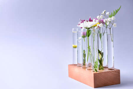 Test tubes with plants on light backgroundの写真素材