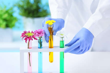 Scientist working with flower samples in laboratoryの写真素材