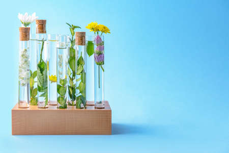 Test tubes with flowers on color backgroundの写真素材
