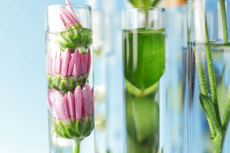 Test tubes with plants on color background, closeupの写真素材