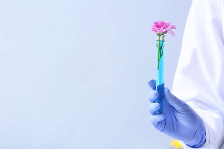 Scientist with flower sample on light backgroundの写真素材