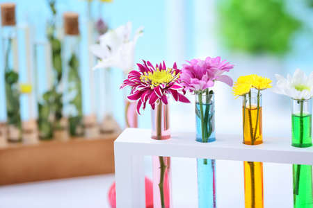 Test tubes with flowers in laboratoryの写真素材