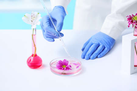 Scientist working with flower samples in laboratoryの写真素材