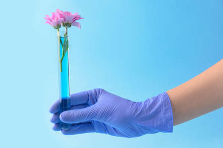Hand of scientist holding test tube with flower on color backgroundの写真素材