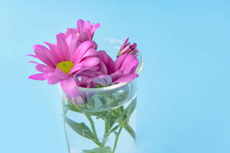 Laboratory glassware with flowers on color background, closeupの写真素材