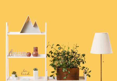 Shelving unit with decor and lamp on color backgroundの写真素材