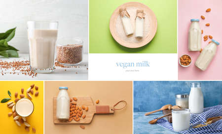 Collage of different vegan milks with space for textの写真素材
