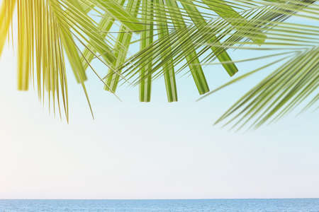 View of beautiful tropical resortの写真素材