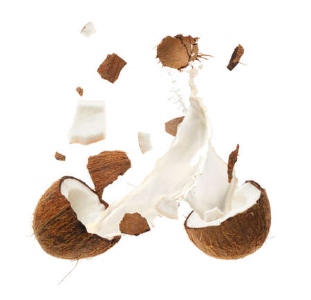 Cracked coconut and milk on white backgroundの写真素材
