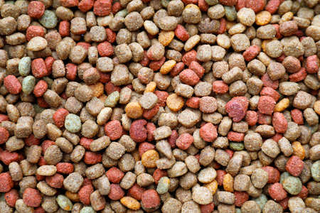 Dry pet food as backgroundの写真素材